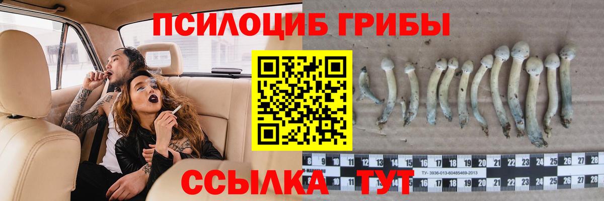 Чистополь  Псилоцибиновые грибы прущие грибы  даркнет сайт  Вход с VPN  Галлюциногенные грибы мухоморы 